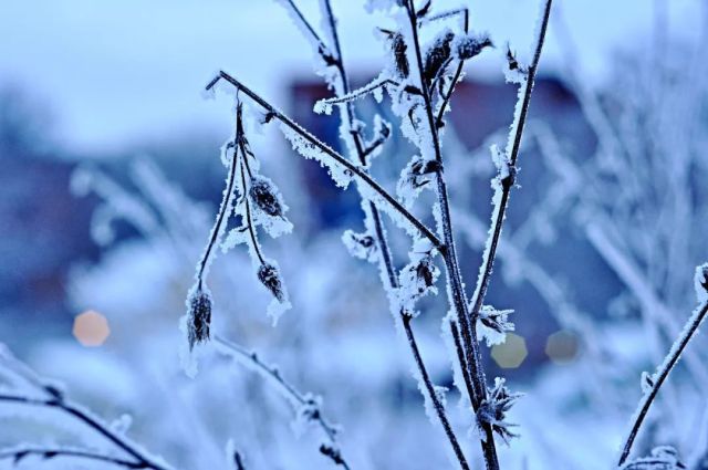 关于描写冬天的诗句有哪些