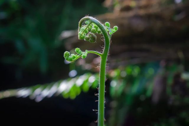 碧水浩浩云茫茫什么意思