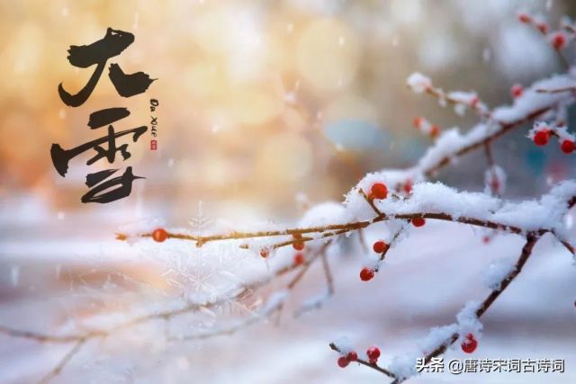 大雪节气，赏析苏轼的​《江神子·大雪》