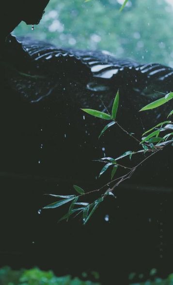 当暴雨遇见古诗词，十五首有关暴雨的诗词，欣赏暴雨的气势与景象​