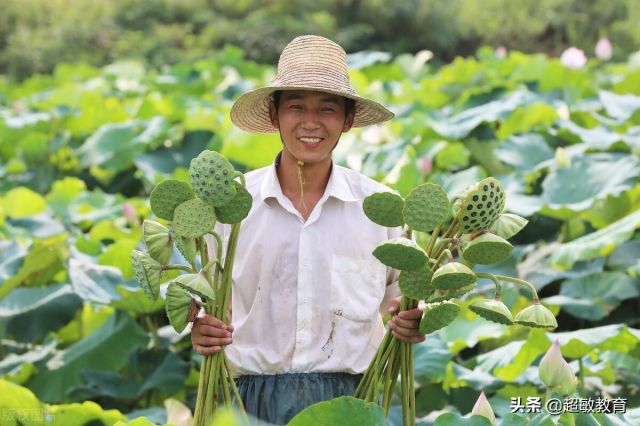 汉乐府《江南》，一幅清新、欢快、幸福的采莲图