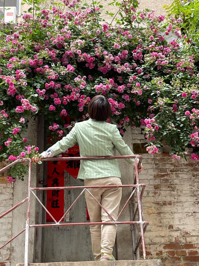 《蝶恋花·春景》赏析