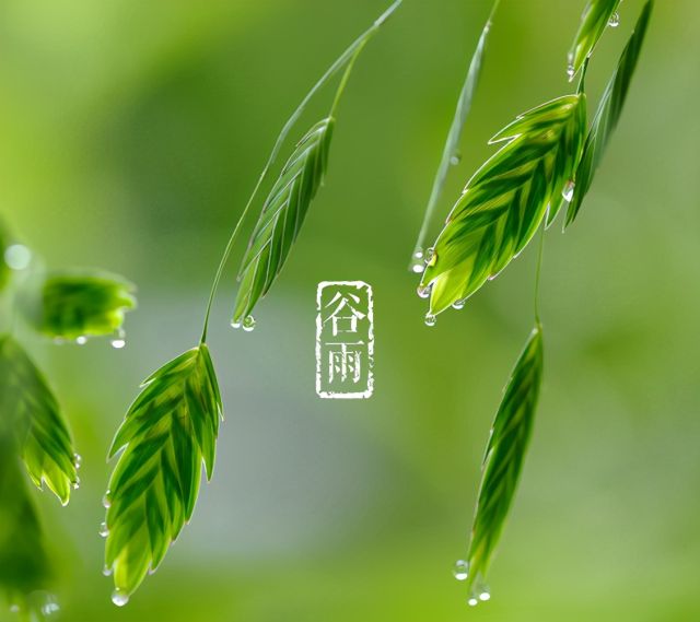 谷雨时节说祈雨