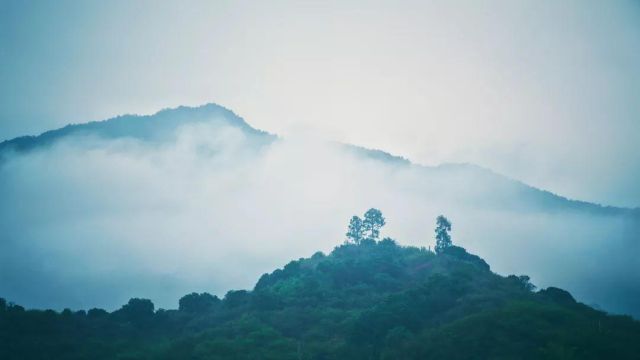 辛弃疾《贺新郎》：我见青山多妩媚，料青山见我应如是！妙哉