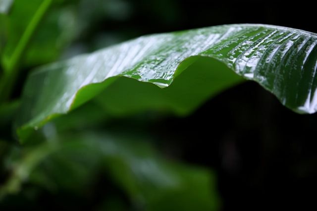 温庭筠最著名的一首更漏子，下片全是名句，被李清照引用亦成经典