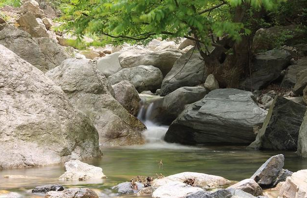 白居易的《白云泉》，泉水除了奔流山下，别无选择