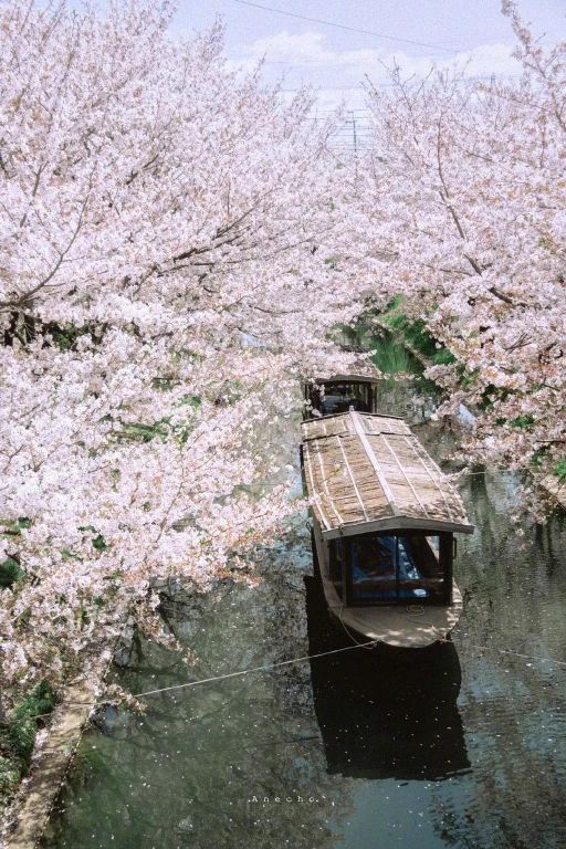 巜王子猷居山阴》有感