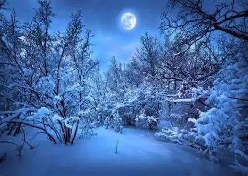 白居易的《夜雪》被誉为千古名作，究竟有何特别之处呢？