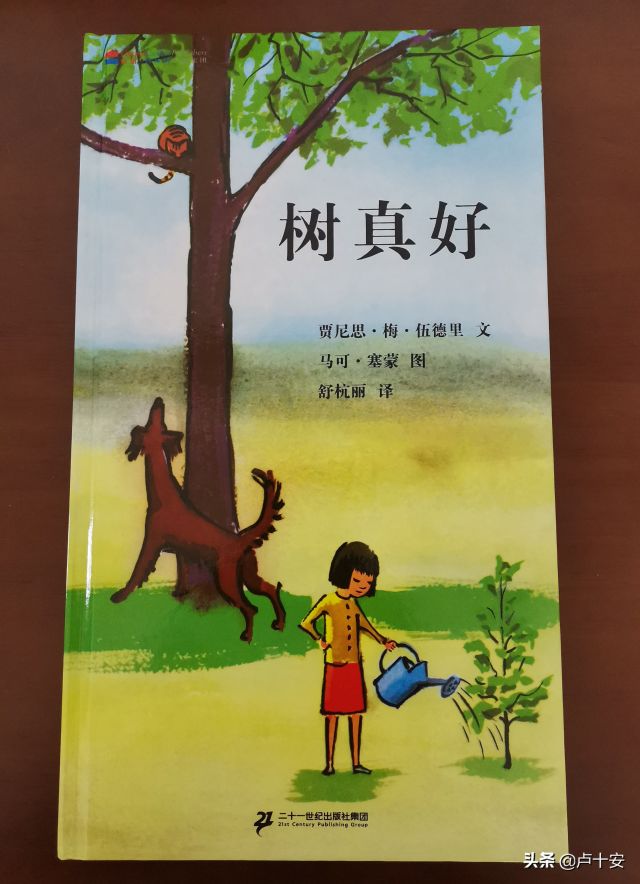 《树真好》：一本让孩子学会发现“日常世界之美”的图画书