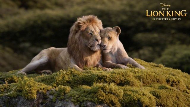 《狮子王》最有担当的十句话，具有责任和勇气，才能生存
