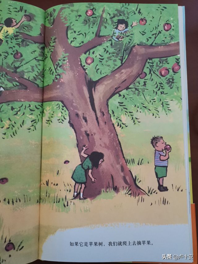 《树真好》：一本让孩子学会发现“日常世界之美”的图画书