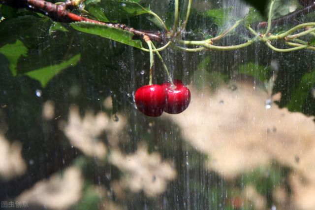 关于雨的好词好句