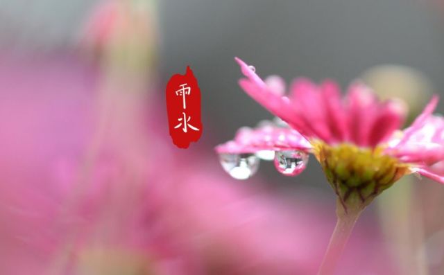 「诗词鉴赏」雨水 | 十首春雨诗词，万物萌动春已至