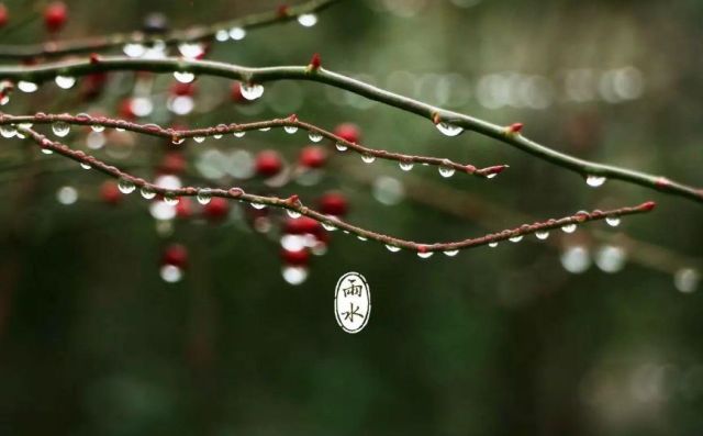 「诗词鉴赏」雨水 | 十首春雨诗词，万物萌动春已至