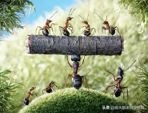 寓言故事：两只蚂蚁          故事虽短，道理却深