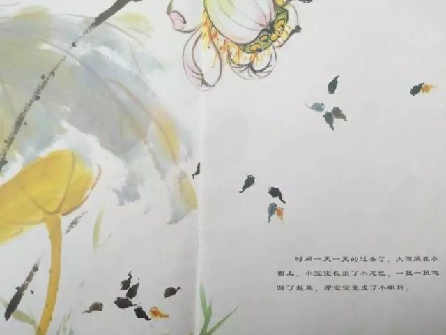 经典绘本故事《小蝌蚪找妈妈》