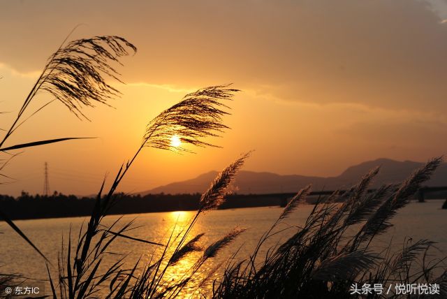 古诗《村晚》赏析