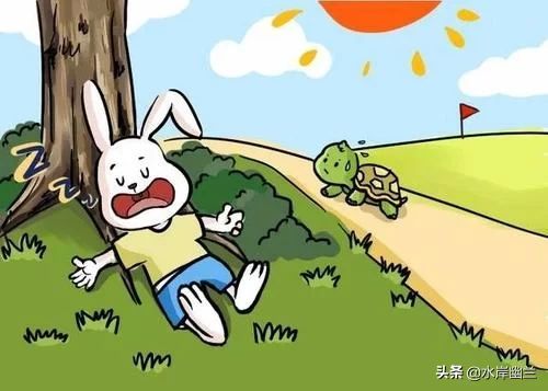 小兔子与小乌龟赛跑的传说