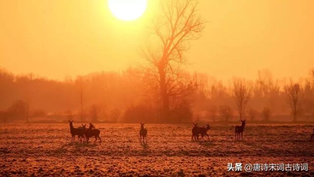 金戈铁马的意思是什么