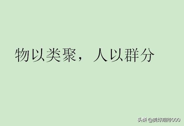 人以群分,物以类聚是什么意思（物以类聚是什么意思呀秒懂的）