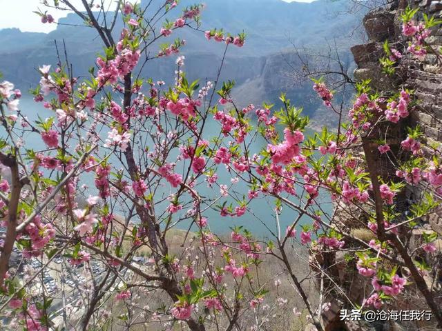 桃花源记原文及翻译拼音（桃花源记原文及翻译）