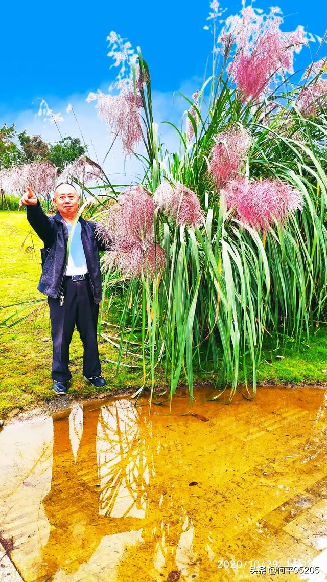 固执胜利者的装备在哪换（固执胜利者）