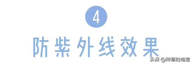 露得清的防晒霜怎么样（露得清防晒霜效果怎么样）