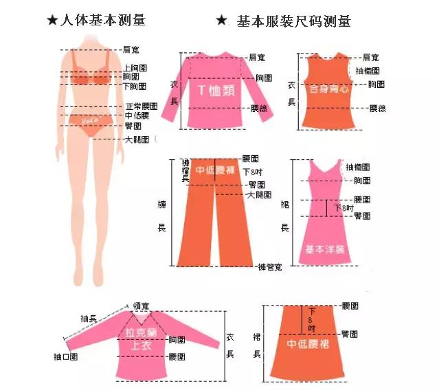 衣服的尺寸规格和型号表（衣服尺寸标号对照表）