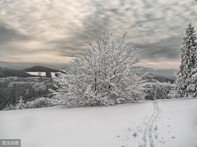 雪诗句大全唯美（雪诗句）