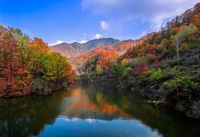 11岁适合去哪里旅游（11月适合去哪里旅游两天）