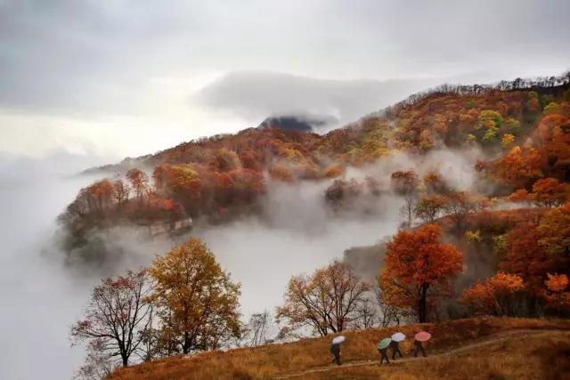 11岁适合去哪里旅游（11月适合去哪里旅游两天）