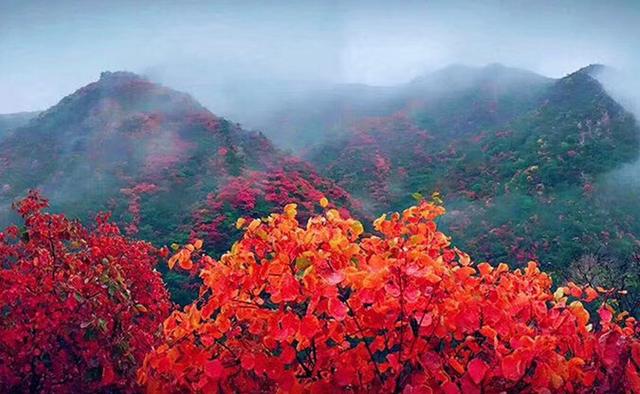 11岁适合去哪里旅游（11月适合去哪里旅游两天）