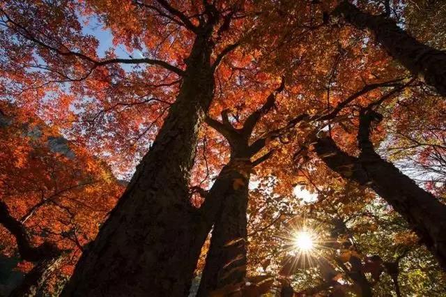 11岁适合去哪里旅游（11月适合去哪里旅游两天）