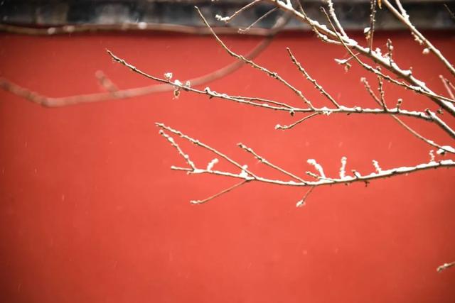 雪诗句大全唯美（雪诗）