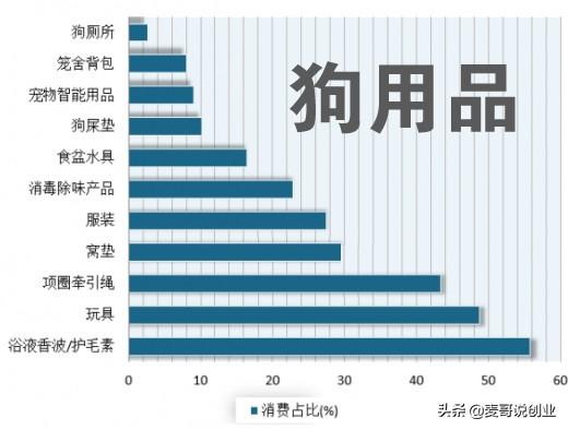 宠物用品批发哪里有（哪里有宠物用品批发）