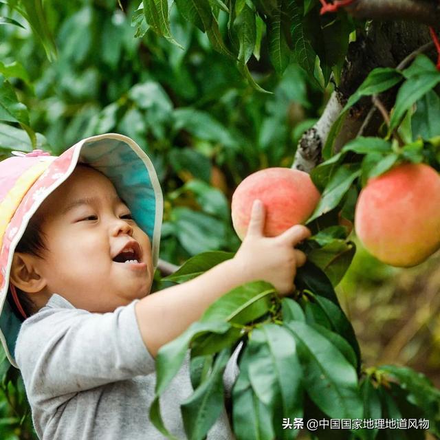 龙泉山城市森林公园开放了吗（滹沱河城市森林公园开放了吗）