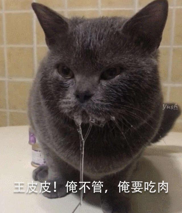 凌采露华老猫粮（凌采露华猫粮多少钱）