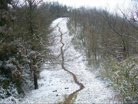 成都耍的地方有哪些地方（成都耍雪有哪些地方）