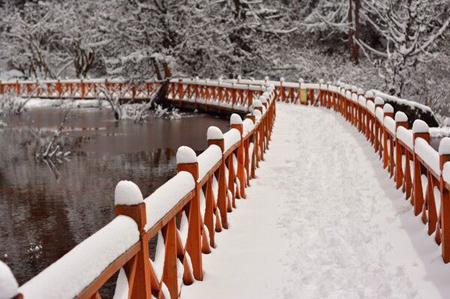 成都耍的地方有哪些地方（成都耍雪有哪些地方）