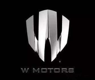Wmotors是什么车（wmotors是什么车）