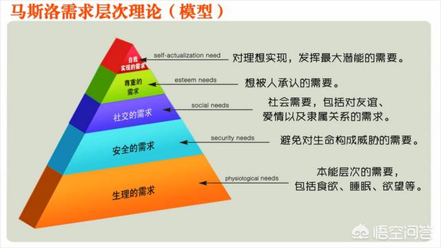 需要层次理论分为哪几个层次它的主要观点是什么（需要层次理论分为哪几个层次,它的主要观点是什么）