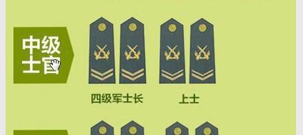 文职军衔等级肩章排列图片中国人民解放军（文职军衔等级肩章排列图片）