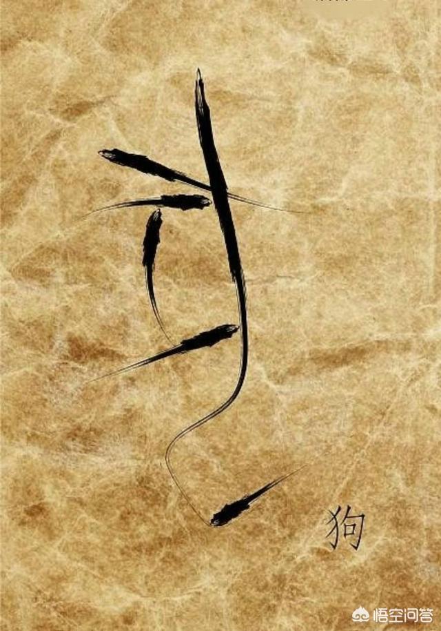 中文字体下载大全免费（中文字体库免费下载）