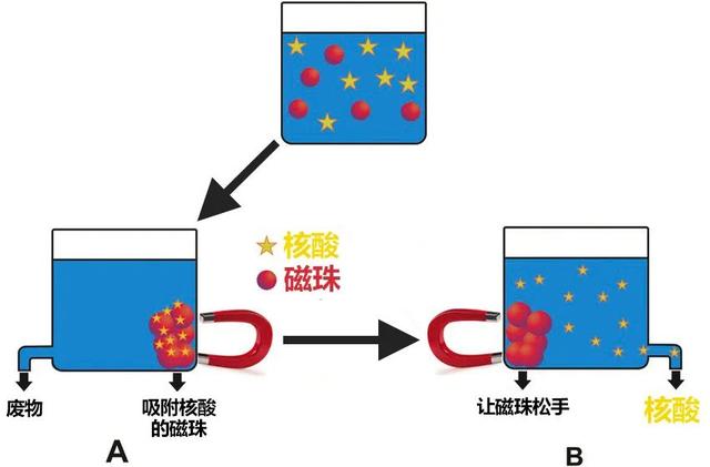 最新灵敏度分享码2021（灵敏度分享码最新2022二指微信区）