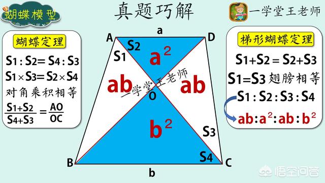 数学定律大全小学（数学定律大全列表初中）