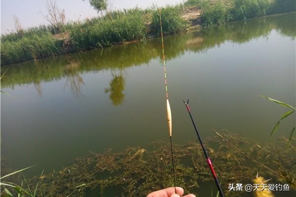 钓鱼怎么调漂正确（钓鱼漂怎么调漂最好方法）