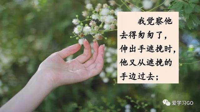 匆匆课文重点笔记（六下匆匆的课文笔记）