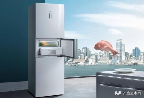 国产电冰箱排名前十名（电冰箱排名前十名的品牌）