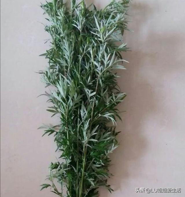 端午节菜谱大全图解（端午节菜谱大全特色窍门）