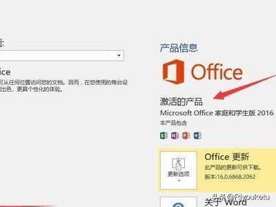 office2010产品密钥激活步骤（激活office2010密钥步骤）